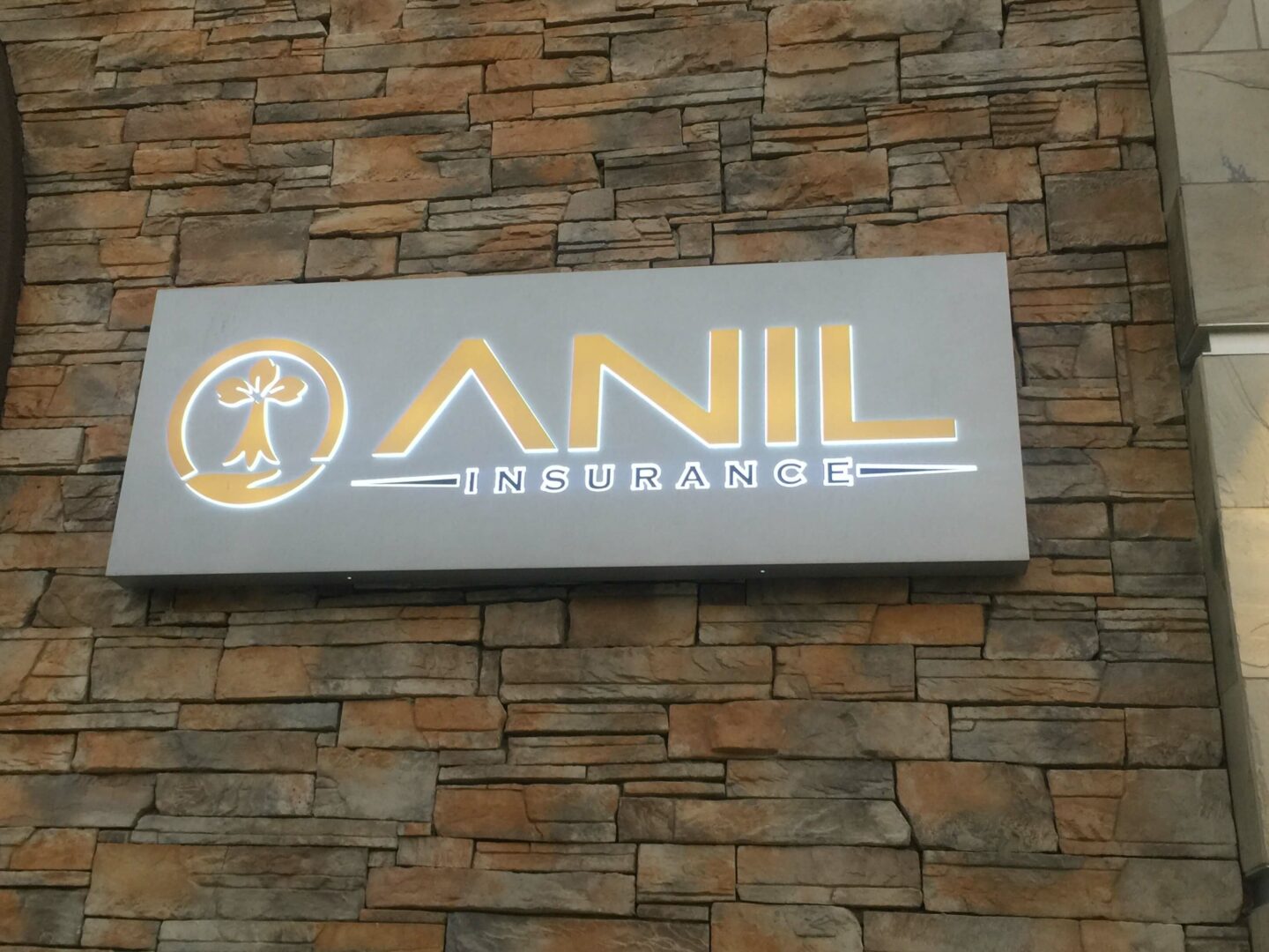 Anil Insurance